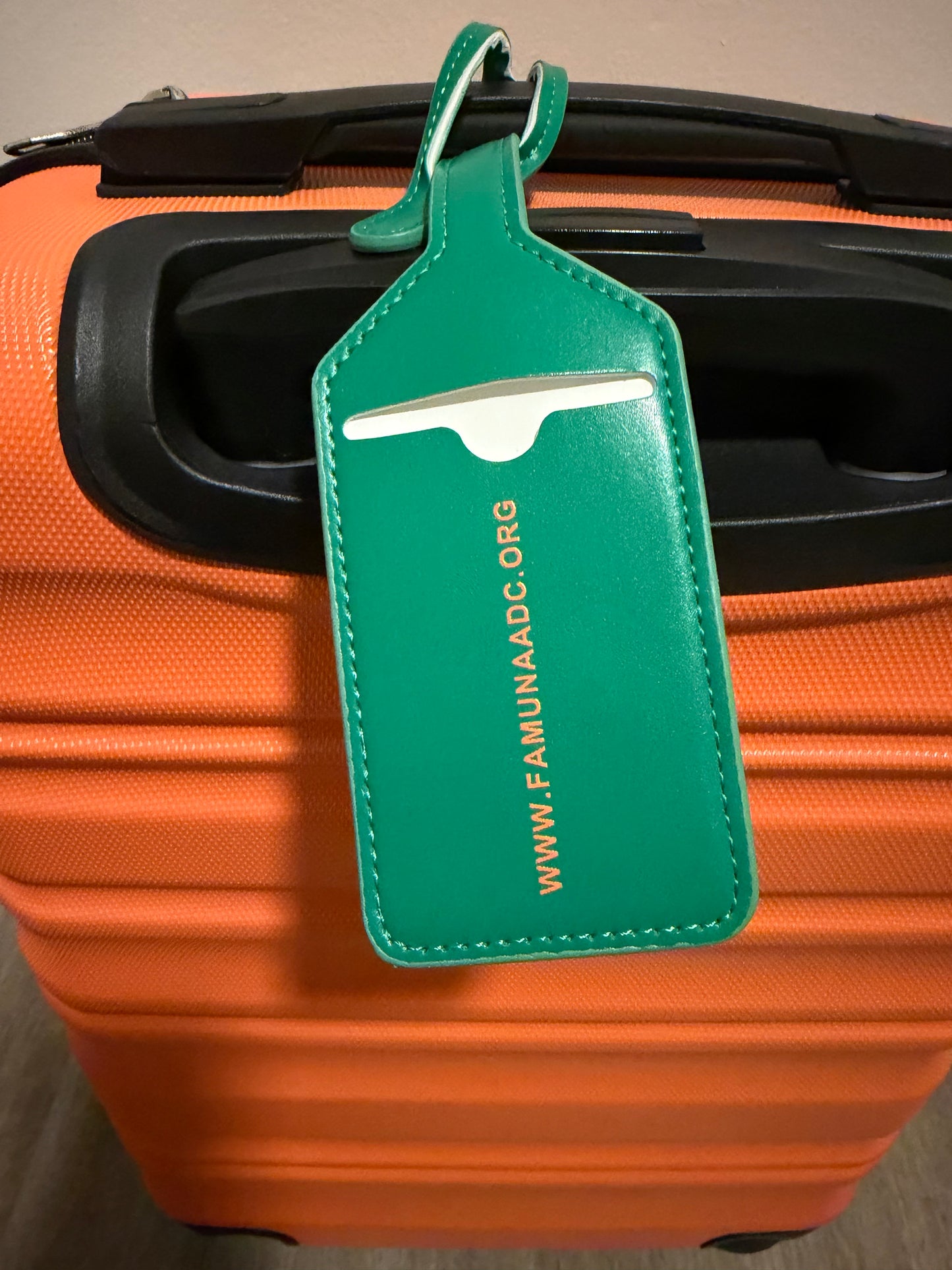 FAMU NAA DC Luggage Tag (Green)